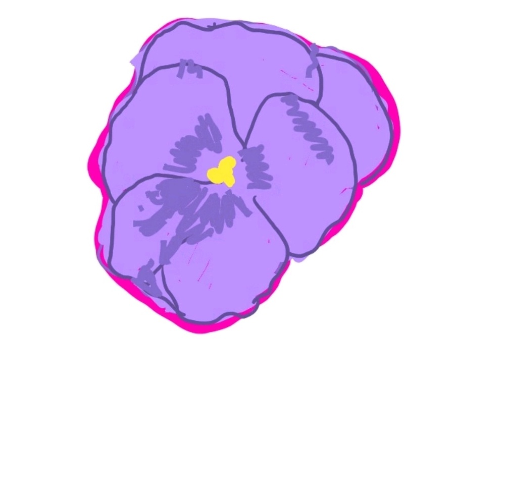 Meet your Posher, Ali